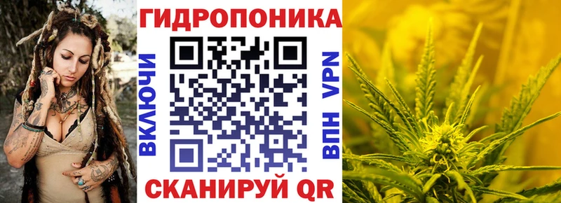 Купить закладки  Дегтярск  Бошки марихуана план 